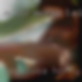 Bogalusa horny women