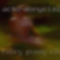 Hairy pussy clubs