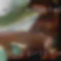 Horny girls fucking