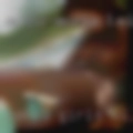 Naked girls wilderness