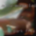 Nude park free sex in TX