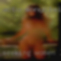 Seeking women Lion